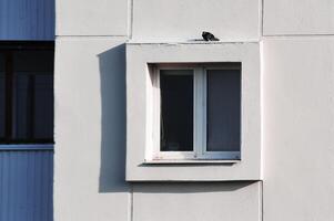 An elegant window featuring a bird perched on the exterior of a building photo