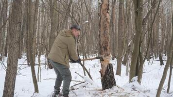 Man Chopping Tree with Axe in Winter Forest, Survivalist chopping a tree with an axe in a snowy forest for bushcraft and firewood. video