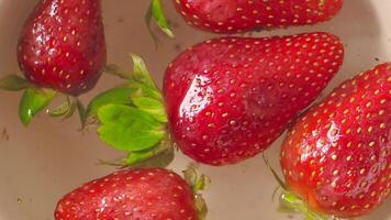 Fresh strawberries soaking in water for washing before use video