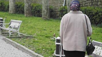 Woman walks in a park surrounded by benches and greenery in spring video