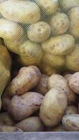 Fresh potatoes displayed in a market for local shoppers video