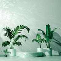 A pale green circular platform is shown with various potted plants, and a pale green wall with shadows of leaves. The scene has a natural and minimalist aesthetic. photo