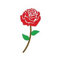 red rose isolated on a white background vector