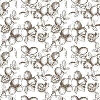 Seamless pattern of walnut branches. background with kernels, leaves and nut skin. Engraving style illustration. Design for packaging, wallpaper, kitchen textile. Hand drawn ink sketch. vector