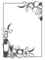 Vertical rectangular frame with a bottle of Italian liqueur Nocino, a shot glass. walnut in engraving technique. Unripe walnut seeds whole and halves, leaves and branches. Linear sketch in ink. vector
