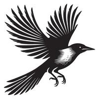 Charming Clarks Nutcracker Bird Illustration for Wall Art vector