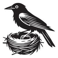 Beautiful Clarks Nutcracker Bird Illustration for Logos vector