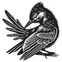Artistic Clarks Nutcracker Bird Illustration for Poster vector
