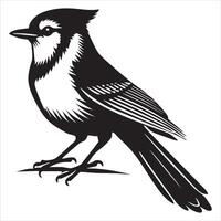 Grey Jay Bird in Silhouette Style vector