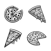 Collection of Pizza Dish Food illustration Pizza clipart Design vector