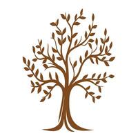 A tree with leaves and branches on a white backgroun vector