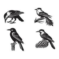 Charming Clark's Nutcracker Illustrations Cute Clark's Crow Bird Silhouette Designs vector