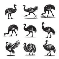 Greater Rhea Bird Silhouette Illustration Collection vector