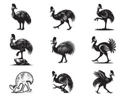 Collection of Cassowaries illustration Cute Casuarius Bird Silhouette Design vector