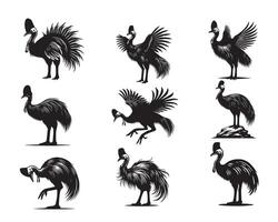 Cassowaries illustration Bundle Art - Cute Casuarius Bird Silhouette Design vector