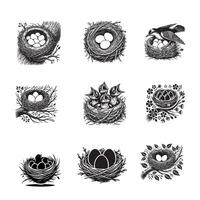 Collection of Birds Nest silhouette Design Eggs Nest illustration vector