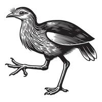 Red-Legged Seriema Bird Design in Minimalist Silhouette vector