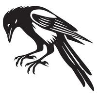 Charming Magpie Clip Art Design with Eurasian Magpie Bird Illustration vector