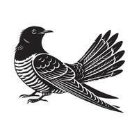Cute Common Cuckoo Illustration and Elegant Bird Silhouette Design vector