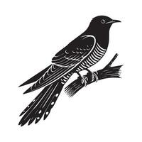 Common Cuckoo Bird Silhouette and Charming Cuckoo Illustration Design vector