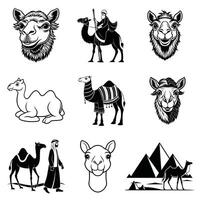 Captivating Camel Faces and Desert Landscapes Illustrated Nomadic Journey Collection vector