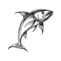 Contemporary Mahi Mahi Fish Clipart Illustration Design vector