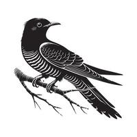 Cute Common Cuckoo Bird Silhouette with Beautiful Cuckoo Illustration vector