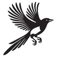 Beautiful Magpie Clip Art Design with Eurasian Magpie Bird Illustration vector