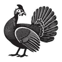Helmeted Guineafowl Bird Silhouette with Elegant Touch vector