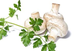 Champignon mushrooms and branch parsley photo