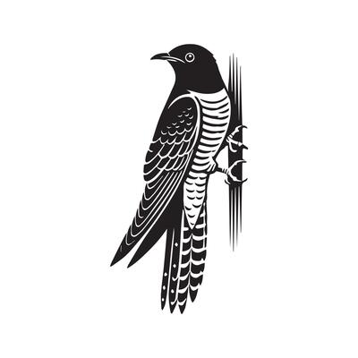 Elegant Common Cuckoo Silhouette for Wildlife Illustrations