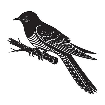 Common Cuckoo Silhouette Bird Illustration for Nature Art