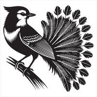 Canada Jay Bird Graphic Design vector