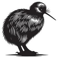 Flightless Kiwi Bird Silhouette with Apteryx Charm vector