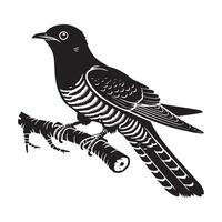 Charming Common Cuckoo Illustration with Silhouette Bird Design vector