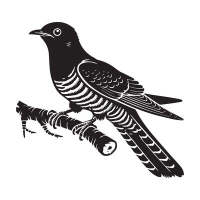 Charming Common Cuckoo Illustration with Silhouette Bird Design