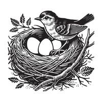 Adorable Bird Nest with Eggs Illustration for Custom Gifts vector