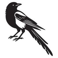 Sweet Eurasian Magpie Bird Design with Playful Magpie Clip Art vector