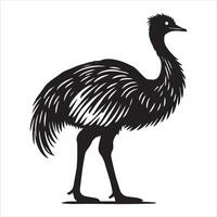 Greater rhea Bird illustration in black and white vector