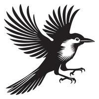 Stunning Clarks Nutcracker Bird Illustration for Scrapbooking vector