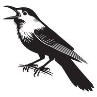 Elegant Clarks Nutcracker Bird Illustration for Home Decor vector