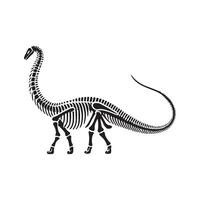 Dinosaur Skeleton Artwork for Design vector