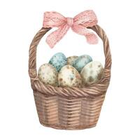 Easter egg basket in watercolor vintage style. Speckled quail eggs and pink bow. Hand drawn spring illustration. Ideal for invitation template design. Cute artwork for springtime greeting card. vector