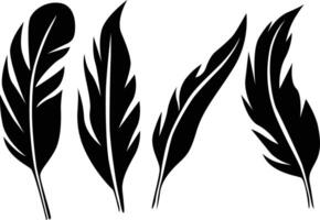 Beautiful Feathers Silhouette for Stylish Design Projects vector