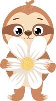 Funny brown sloth with a flower daisy vector