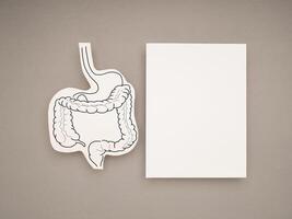 Large intestine symbol made from paper and a blank white paper on a gray background photo