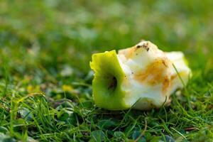 Green apple core resting on grass in a sunny meadow after being enjoyed by a hungry creature photo