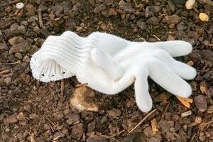 Unused white glove resting on gravel path surrounded by nature on a sunny day photo