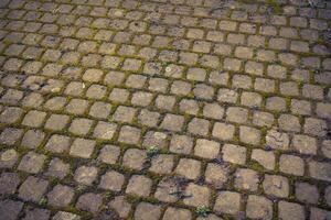 Cobblestone pathway covered in moss and dirt during early morning hours revealing nature's touch on urban surfaces photo