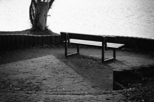Bench by the water surrounded by nature in a tranquil setting during the day photo